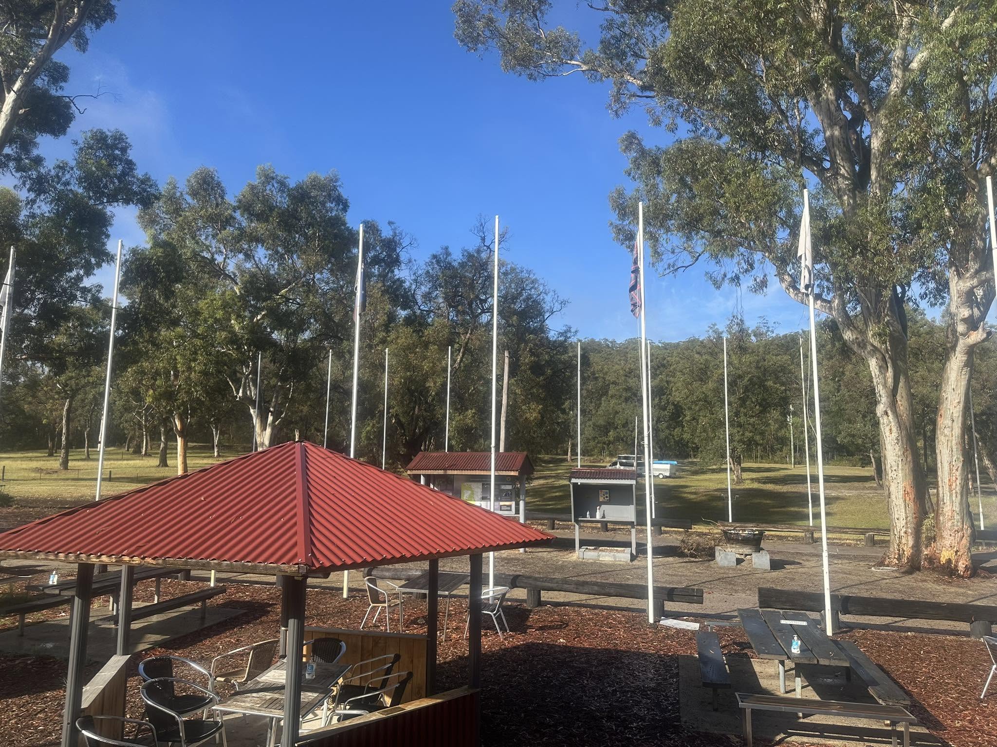 Sunny picnic and camping grounds at Grey Gum Cafe surrounded by gum trees on Putty Road